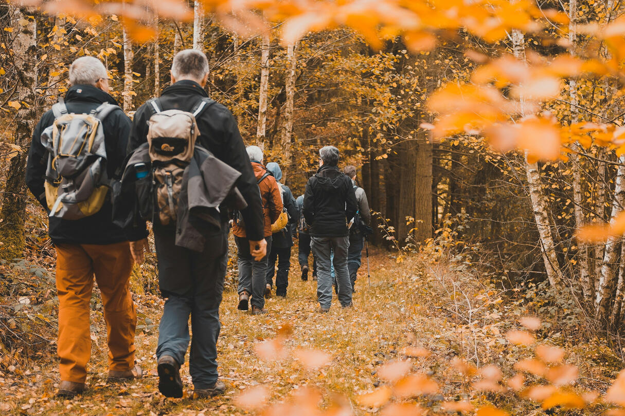 Halloween at Hindhead: Guided Walks stock image